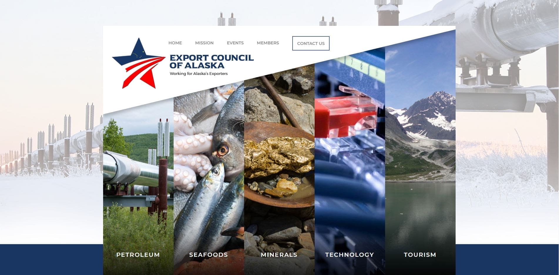 Export Council of Alaska Website Design